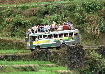 Buses