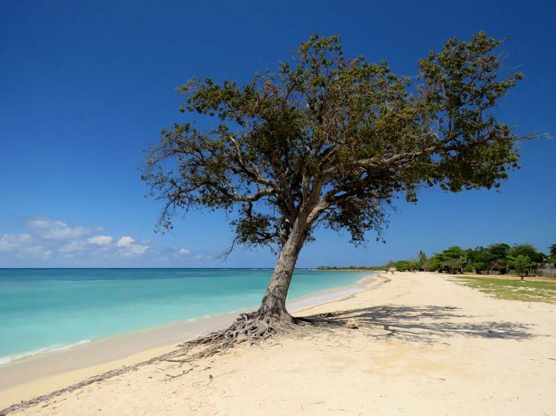 cuban beach 800