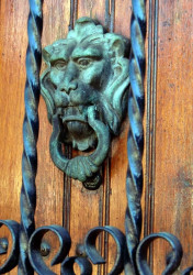 knocker10a 800