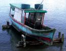 129 milady 1 in costa rica 800