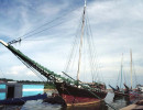 65 large wooden ships in wellington  new zealand 800