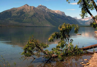Glacier