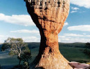 26 rock formation at vila velha state park 800