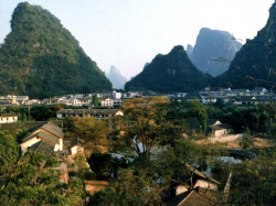 ne 46 china 800