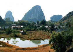 ne 47 china 800