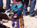 6 Young girl tending the pigs 800